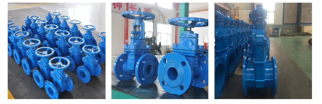 API OEM Factory Ductile Cast Iron Di Ci Stainless Steel Brass Handle Wormgear Electric PTFE Lined Disc EPDM Sealing Lug Wafer Flange Butterfly and Gate Valve
