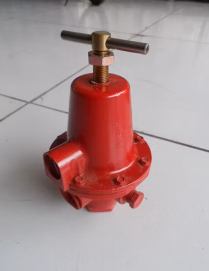 Rego Natural Gas Pressure Reducing Valve and Combustion Pipeline Industry Valve