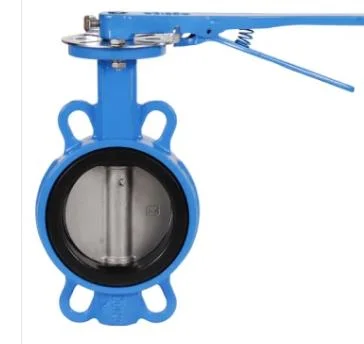 ANSI DIN BS En Ductile Iron Di Stainless Carbon Steel Brass Bronze 2507 2205 Disc Handle Wormgear Pneumatic Electric Wafer Style Butterfly Valve DN80 3