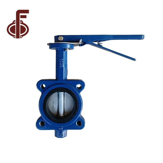 API OEM Factory Ductile Cast Iron Di Ci Stainless Steel Brass Handle Wormgear Electric PTFE Lined Disc EPDM Sealing Lug Wafer Flange Butterfly and Gate Valve